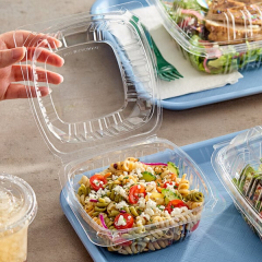 PET Food Packaging